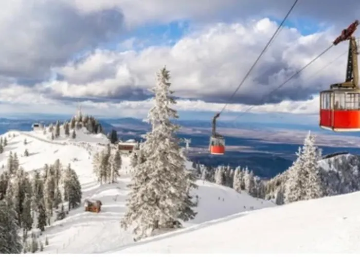 Fai Avantgarden Retreat Braşov